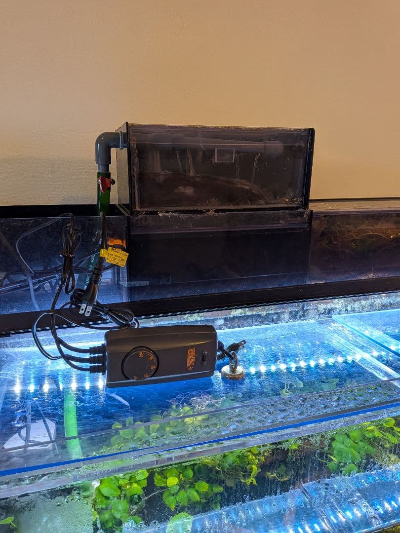 綺麗な1200×450×450　4面ブラックアクリル水槽 フルセットです！！