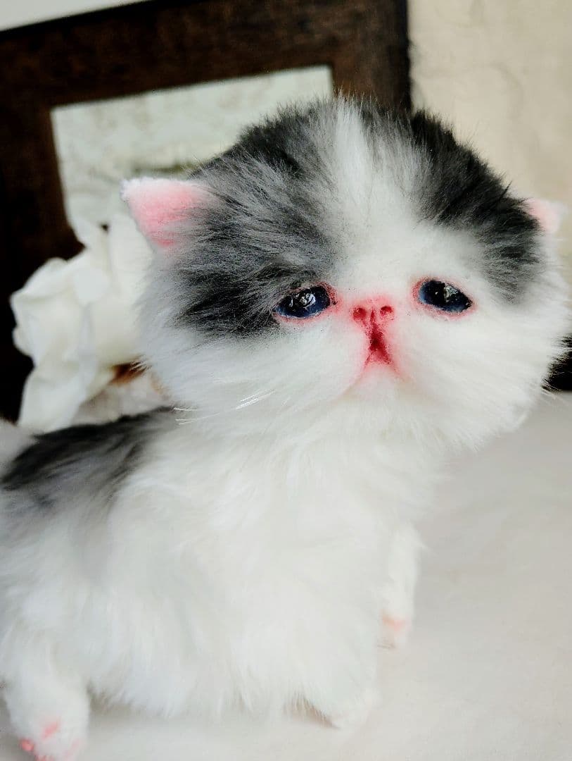 子猫あずきちゃん❤ころころぽっちゃりちゃん♡カゴセット♡アートドール♡ぬいぐるみ