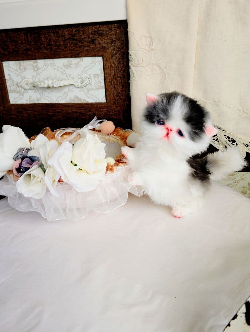 子猫あずきちゃん❤ころころぽっちゃりちゃん♡カゴセット♡アートドール♡ぬいぐるみ