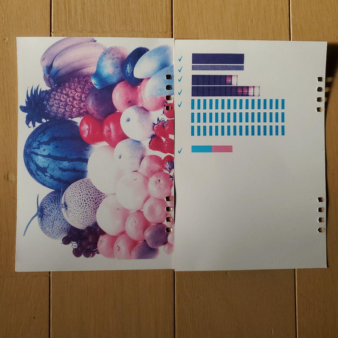 CASIO プリン写ル　PCP-2500 本体 取説中古　訳あり