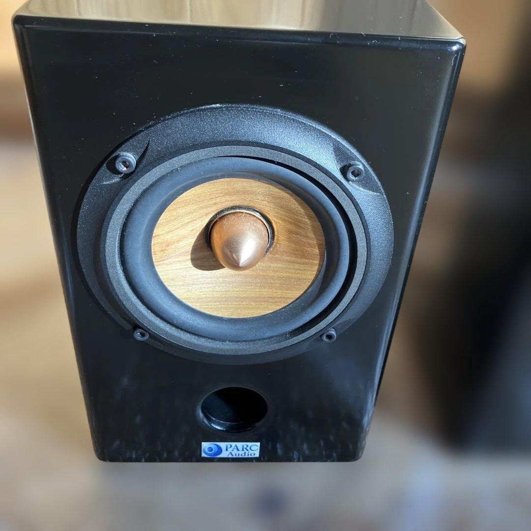 PARC Audio（パークオーディオ）ブラック・スペシャル塗装、ウッドコーン