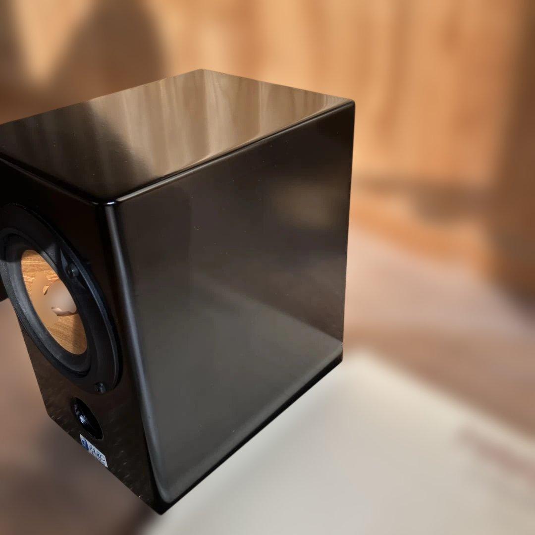 PARC Audio（パークオーディオ）ブラック・スペシャル塗装、ウッドコーン