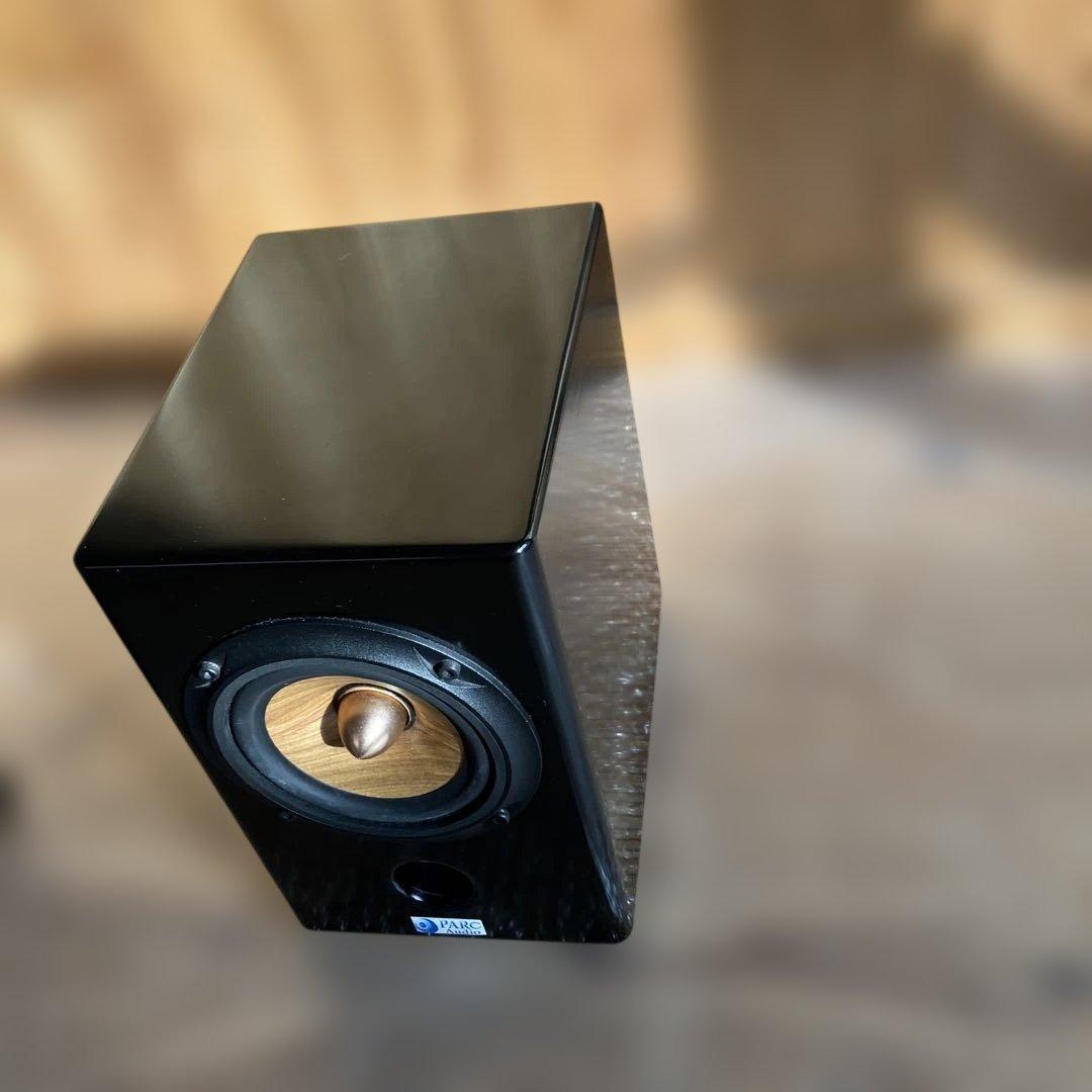 PARC Audio（パークオーディオ）ブラック・スペシャル塗装、ウッドコーン