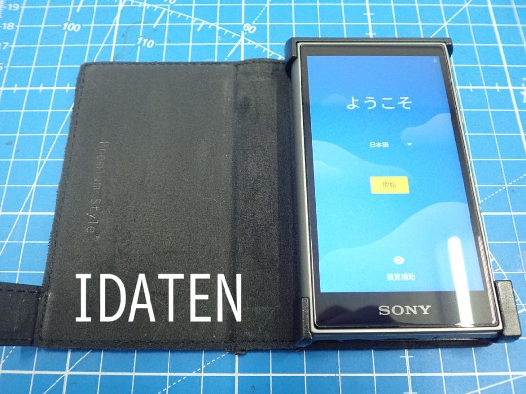 Sony Walkman NW-A106/GC デジタルメディアプレーヤー