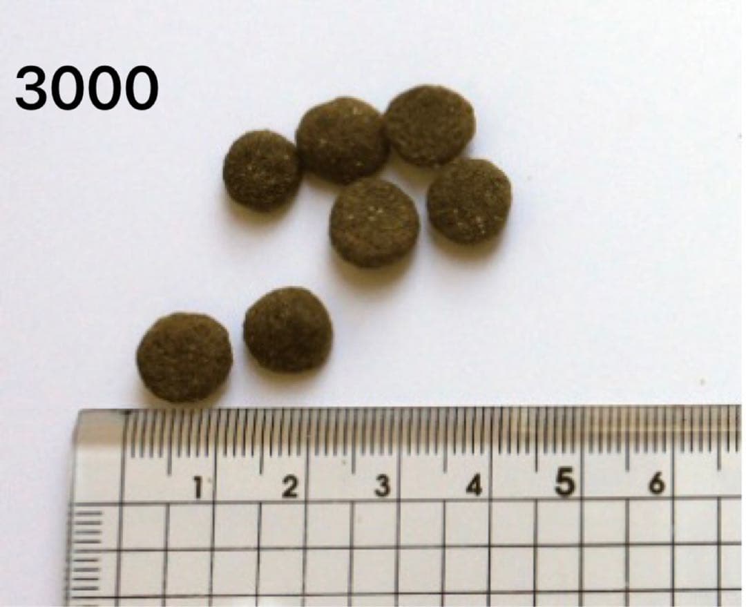 ブラックウッド3000 20kg(5kg×4袋)