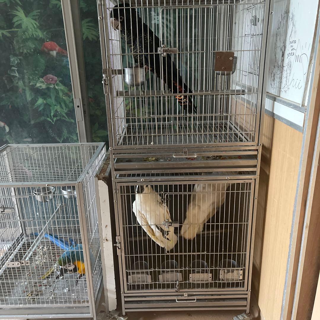 ステンレスケージ　aoi