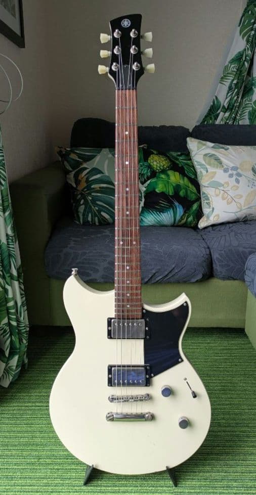 売約済み　リー　YAMAHA REVSTAR RSE20