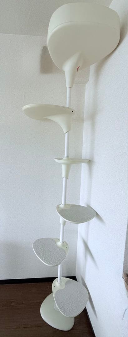 キャットフォレスト　ホワイト　OPPO