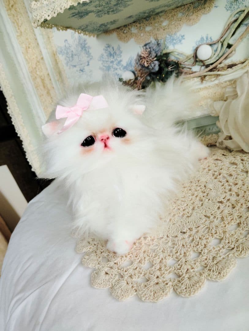 可愛いキャンディちゃん❤エキゾチック子猫ちゃん♡アートドール♡ぬいぐるみ♡