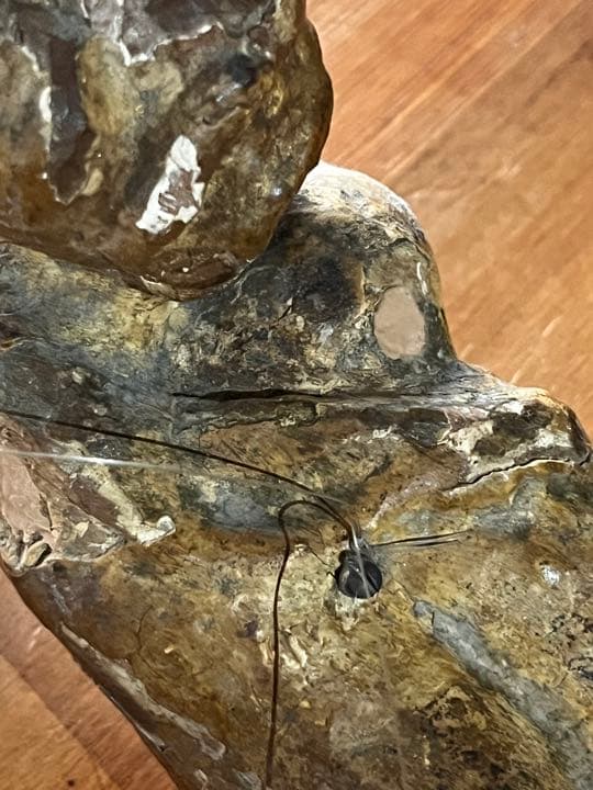 19世紀フランスアンティーク エンジェル