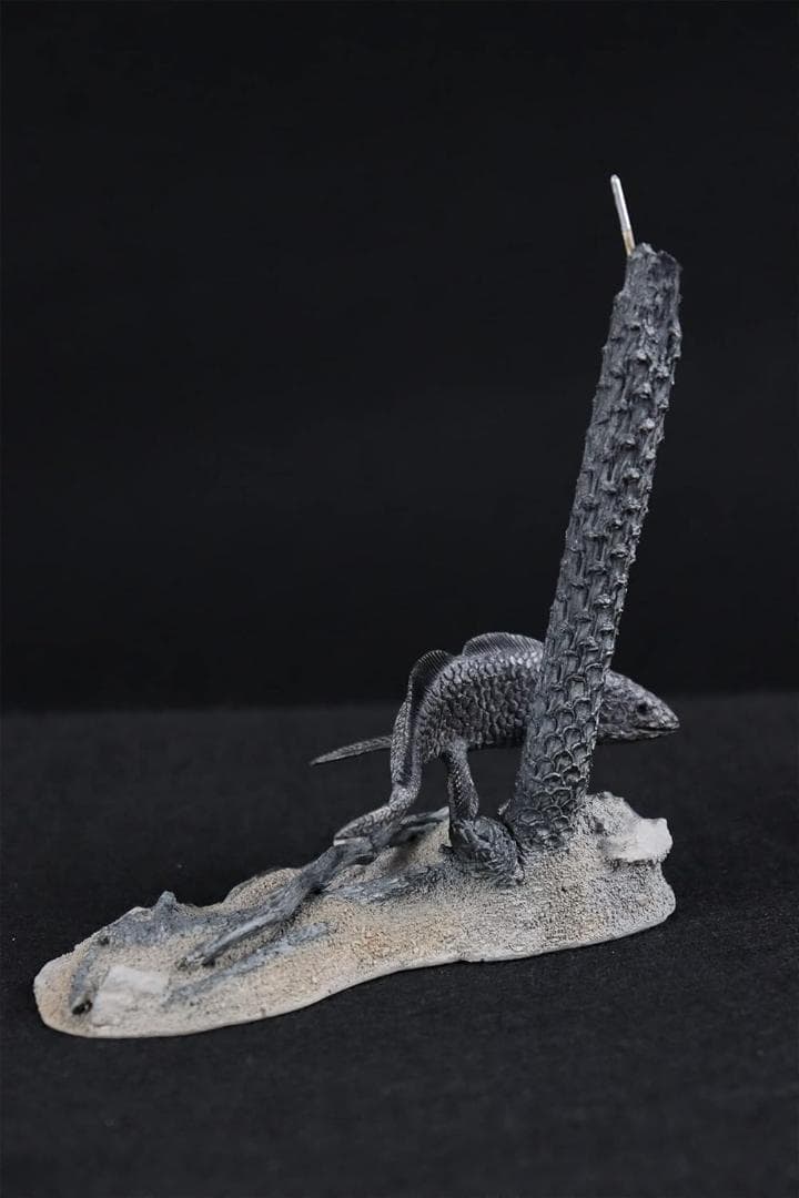 ディプロカウルス 化石