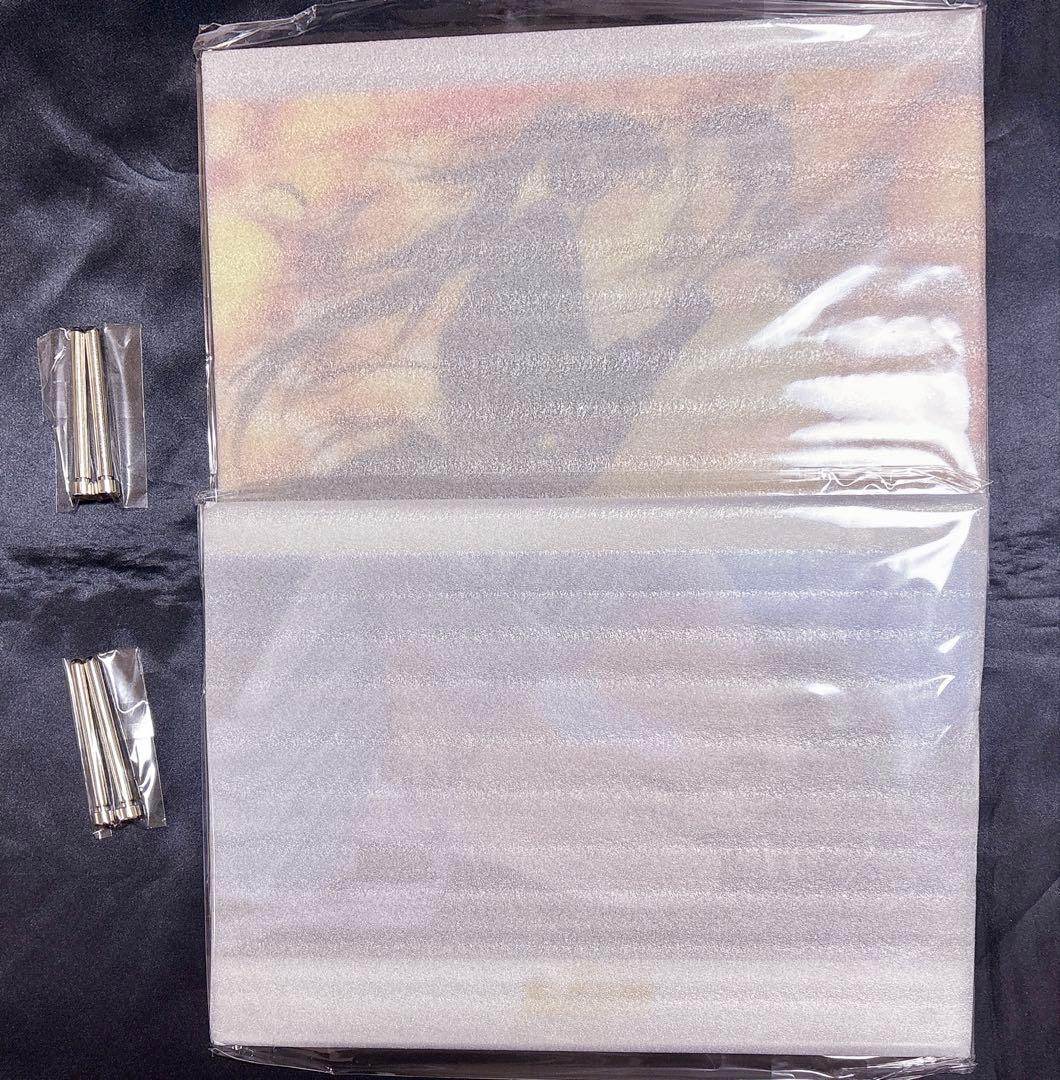 魔道祖師 サウンドトラック 特装版 特典 アクリルボード 忘羨 2点セット