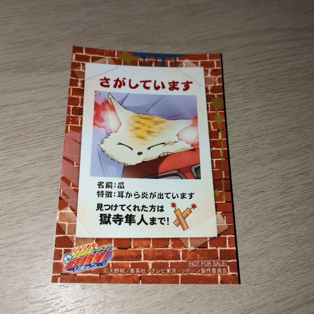 家庭教師ヒットマンREBORN!　ステッカーカードコンプセット　アニメイト特典