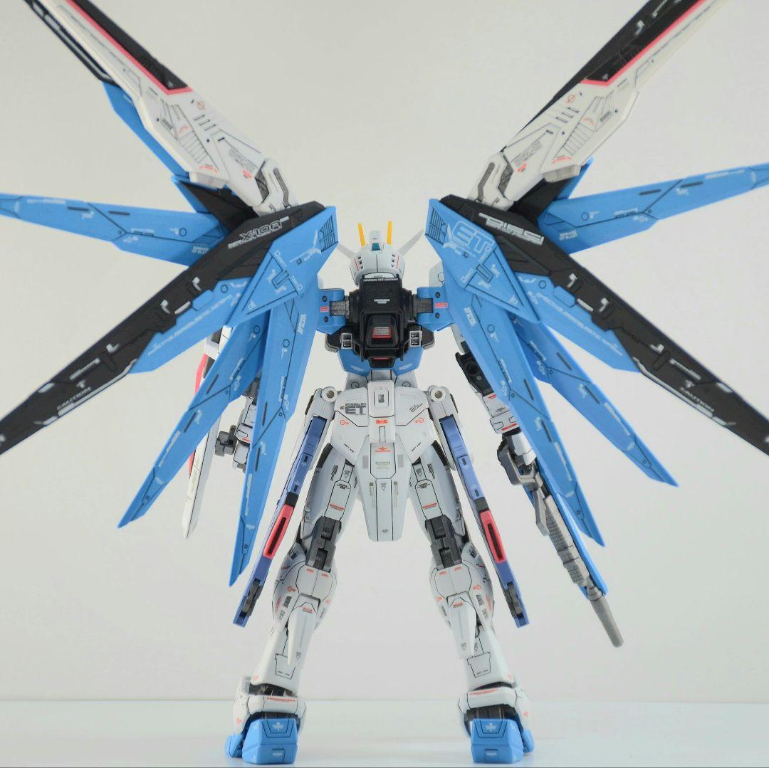 RG フリーダムガンダム 塗装 完成品 バンダイ ガンプラ 1/144