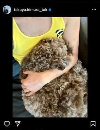 FREECITY　フリーシティ　リブ タンクトップ　グリーン　３　キムタク