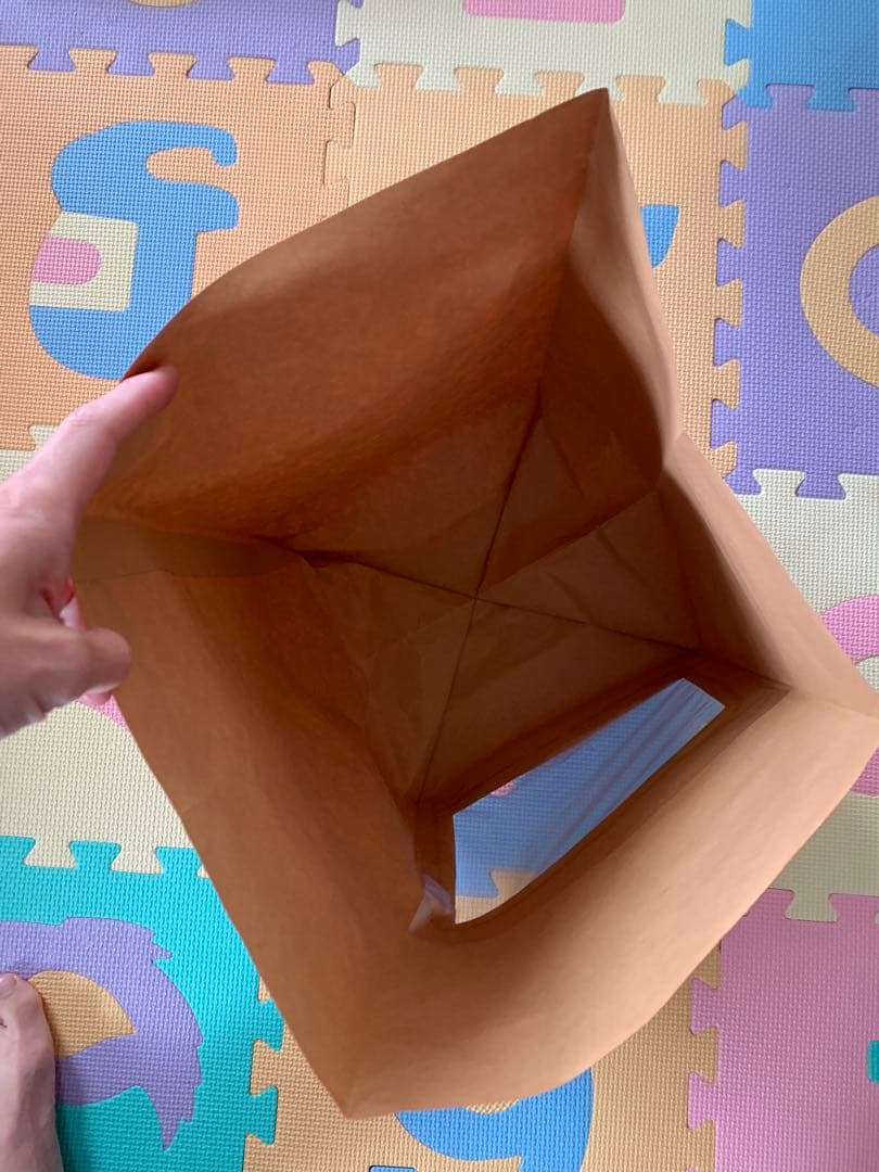 海外紙物　巨大　Made in Albany　ラッピング袋　4種　40枚