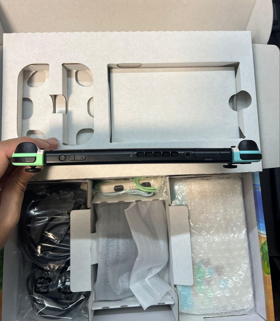 (623) Switch あつまれどうぶつの森 モデル