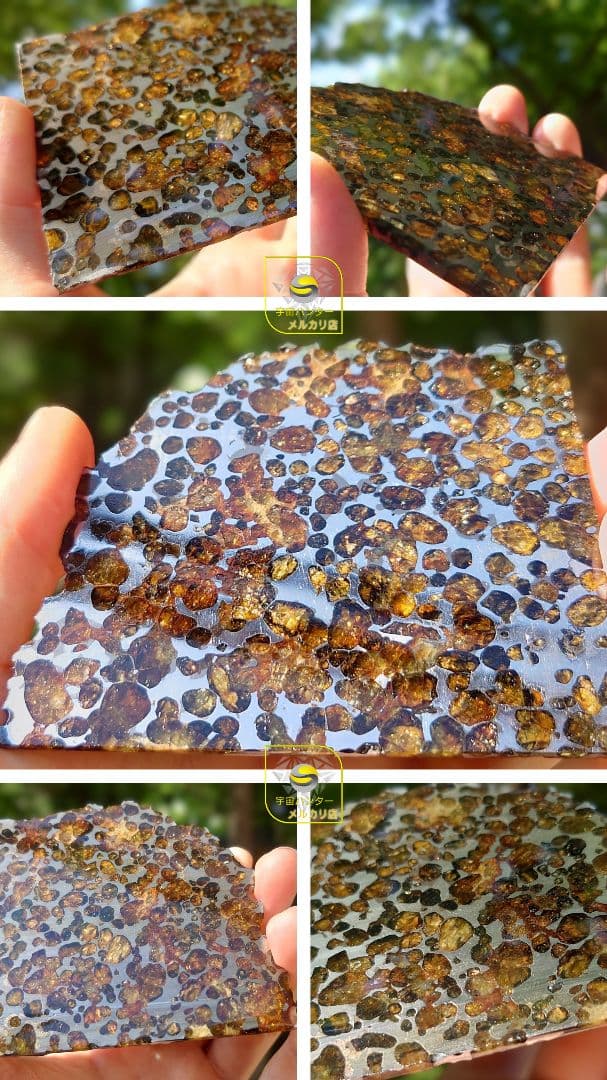 隕石スプリングウォーター パラサイト 91.5g❗ Springwater⭐⭐⭐