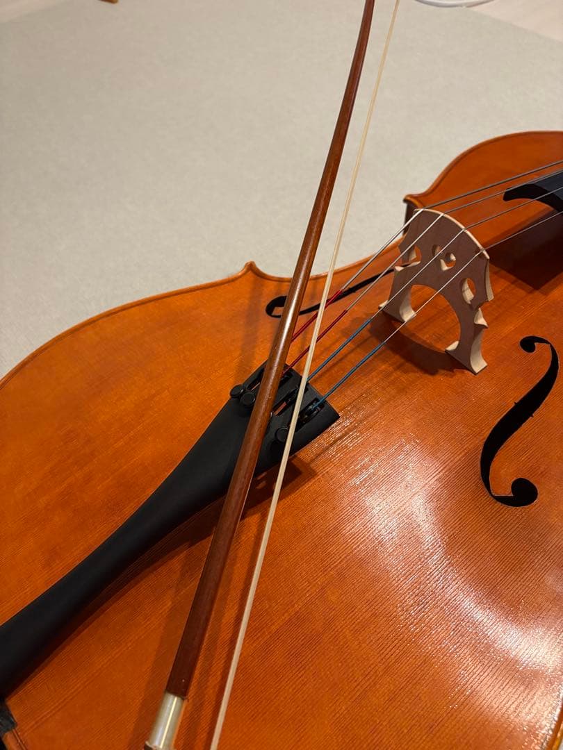 チェロ　Carlo Giordano SC-300