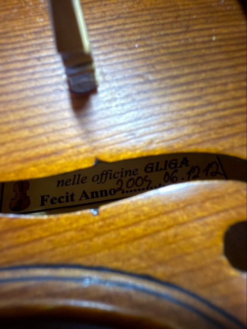 グリガ　GLIGA Fecit Anna 2009 1/10 バイオリン