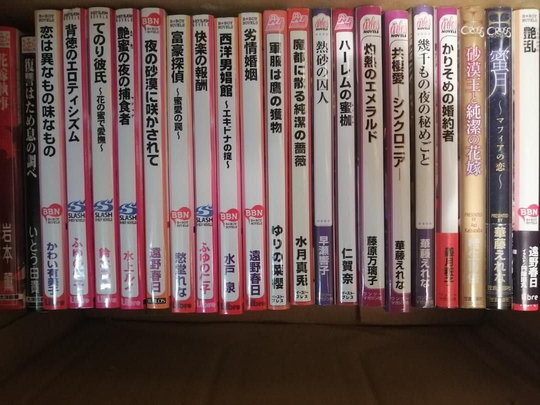 BL小説 161冊 まとめ売り