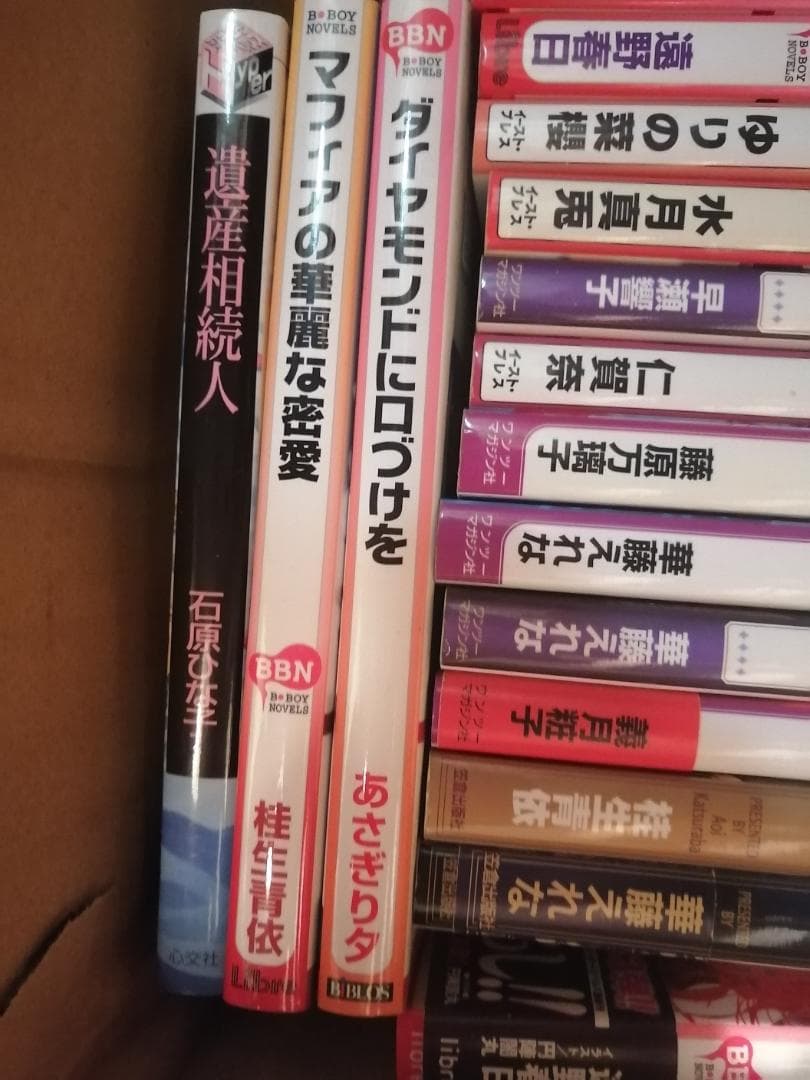 BL小説 161冊 まとめ売り