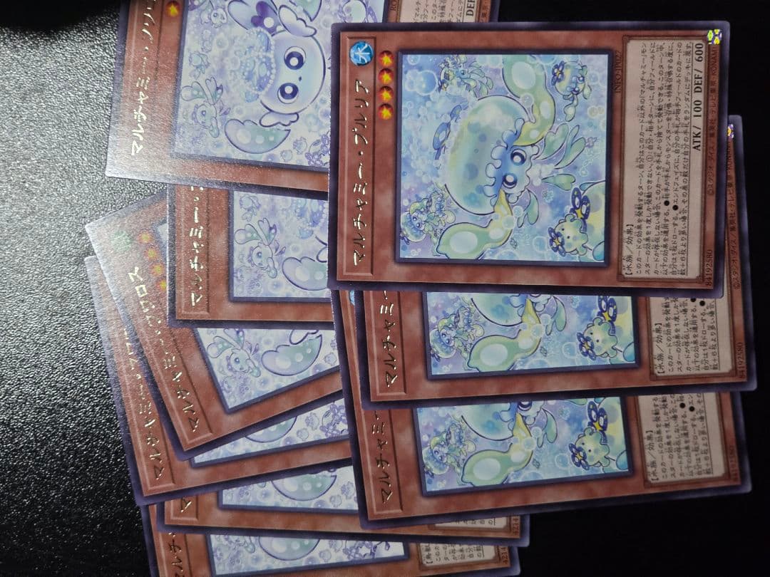 マルチャミー・フワロス　マルチャミー・プルリア