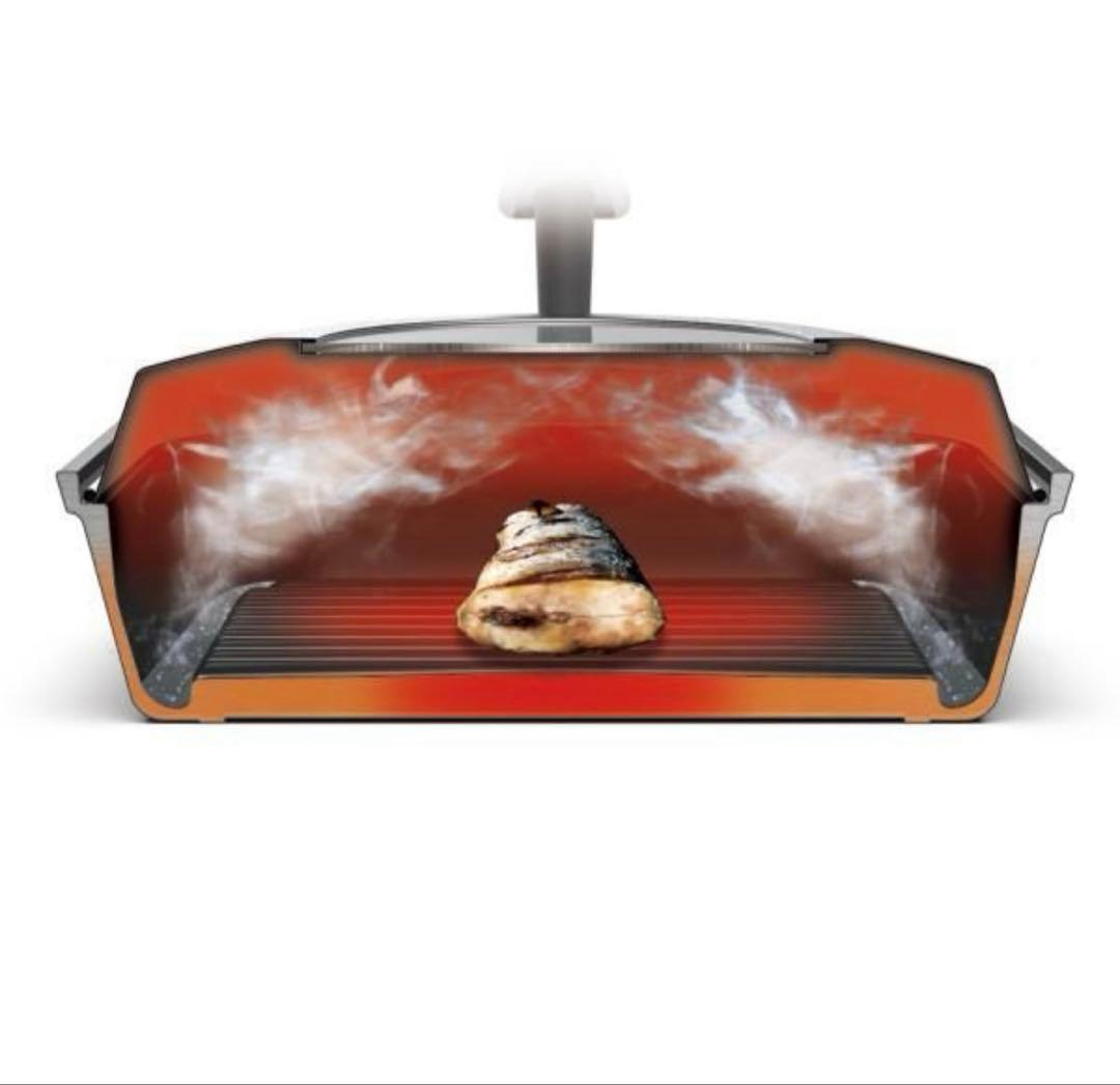 leye スチームクッカー　オークス社製