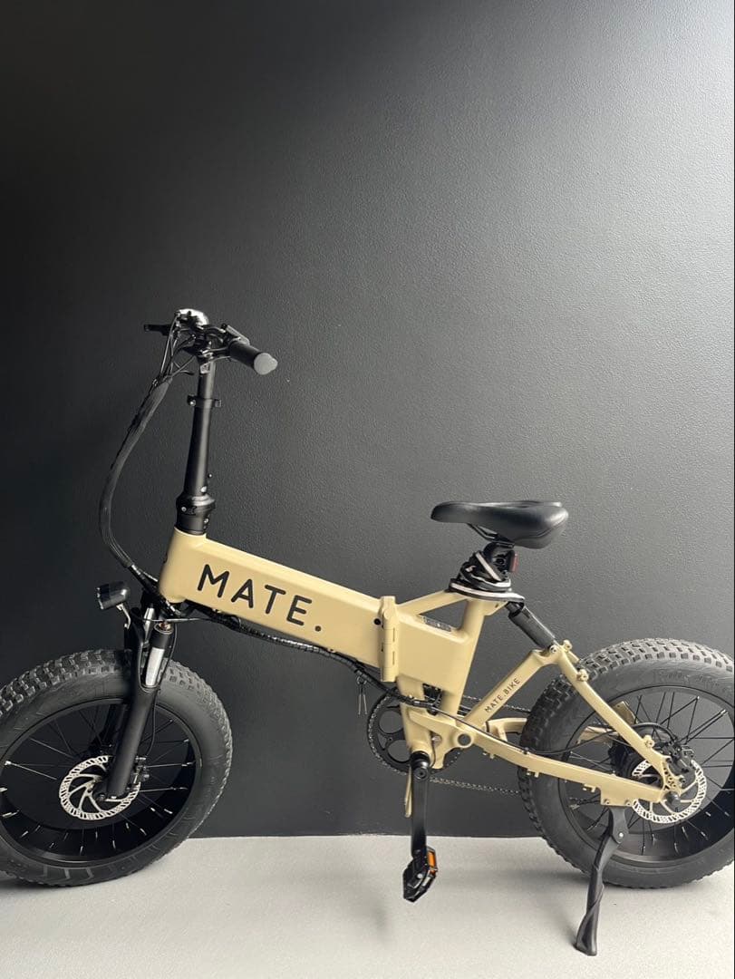 MATE X 美品車 egg rider