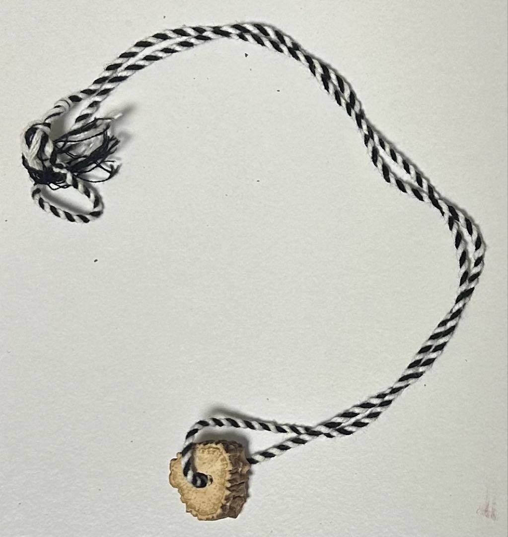 金カム　ゴールデンカムイ　イケマの根　★おまけ付★