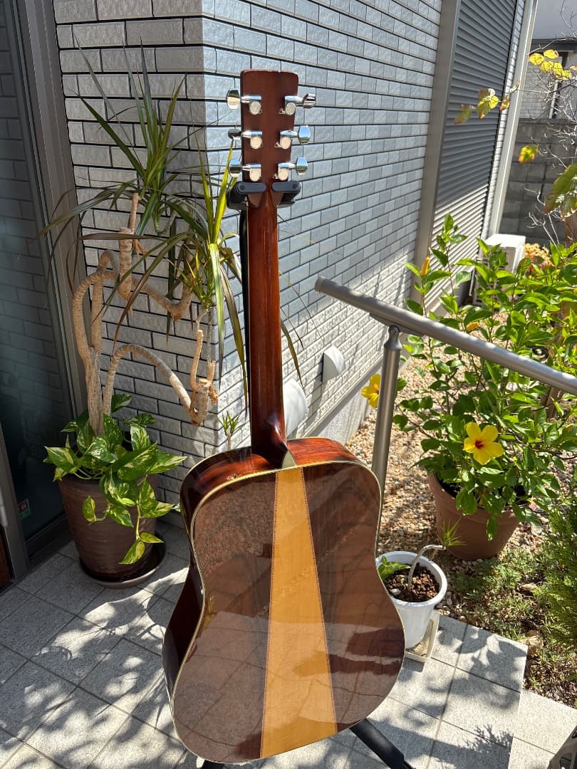 Morris W-60 トップ単板　サイド、パックはハカランダ