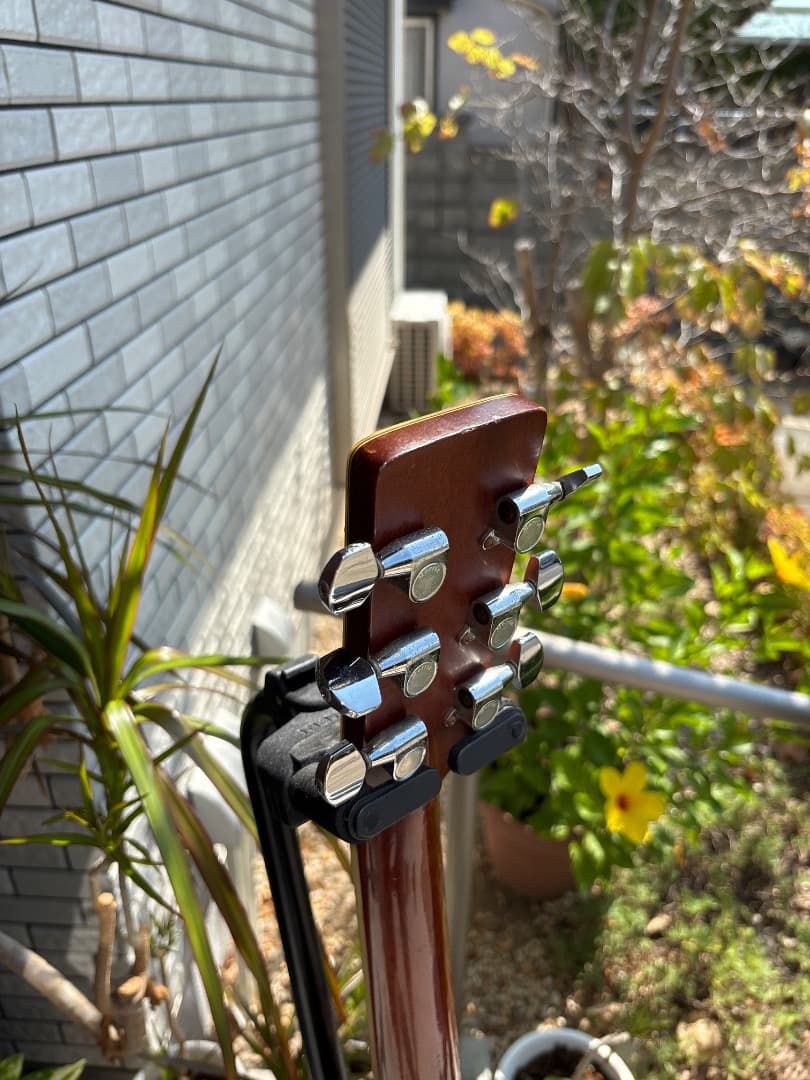 Morris W-60 トップ単板　サイド、パックはハカランダ