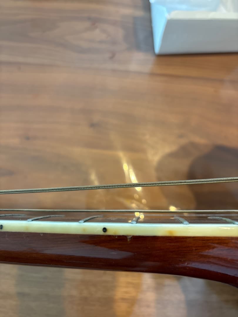 Morris W-60 トップ単板　サイド、パックはハカランダ