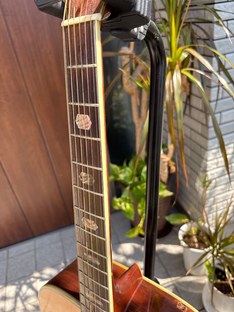 Morris W-60 トップ単板　サイド、パックはハカランダ