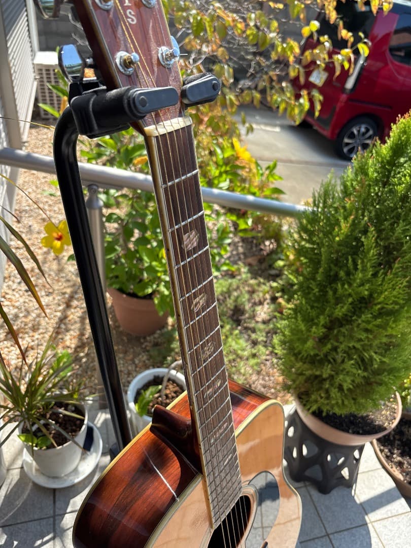 Morris W-60 トップ単板　サイド、パックはハカランダ