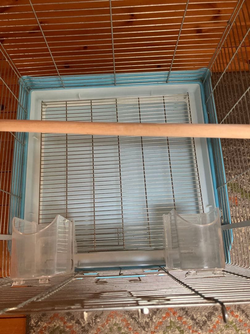 ホーエイ465オカメ