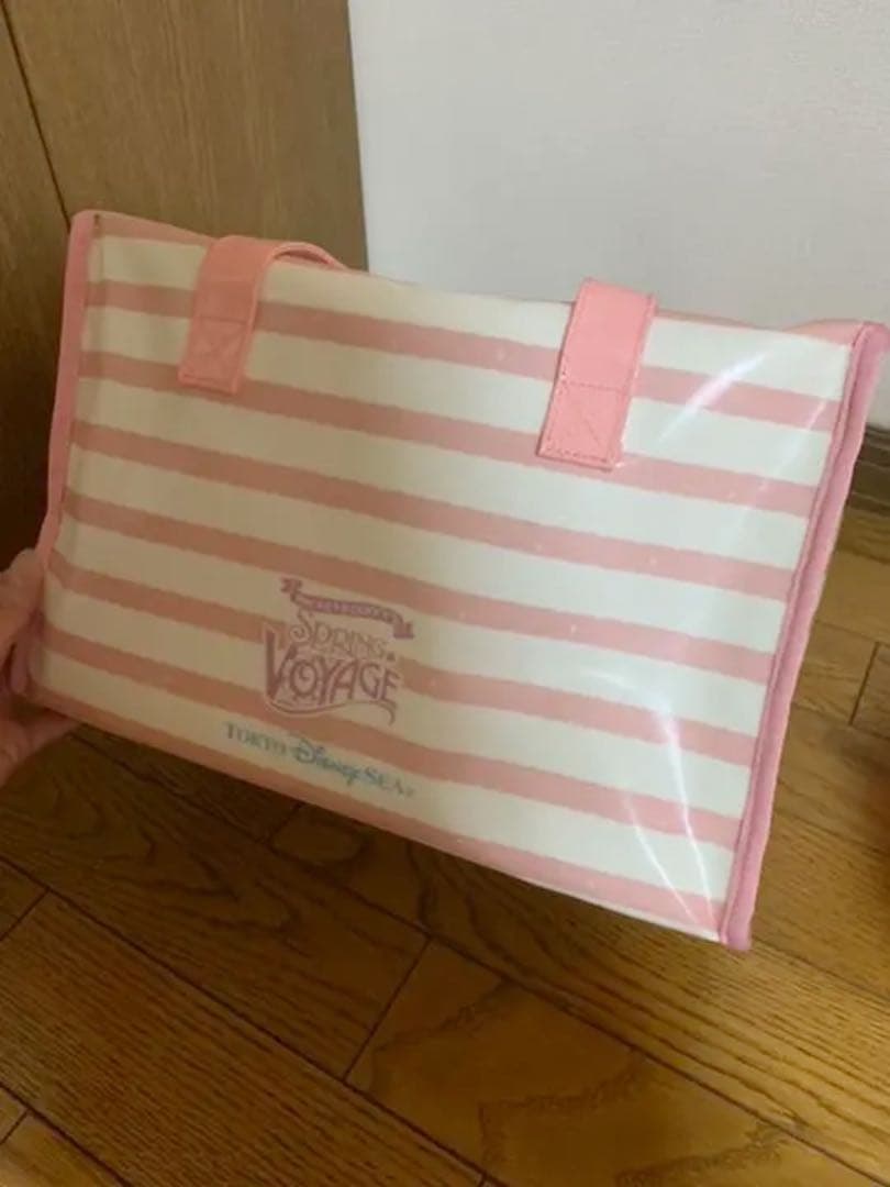 ダッフィー シェリーメイ　スプリングヴォヤッジ ピクニックセット