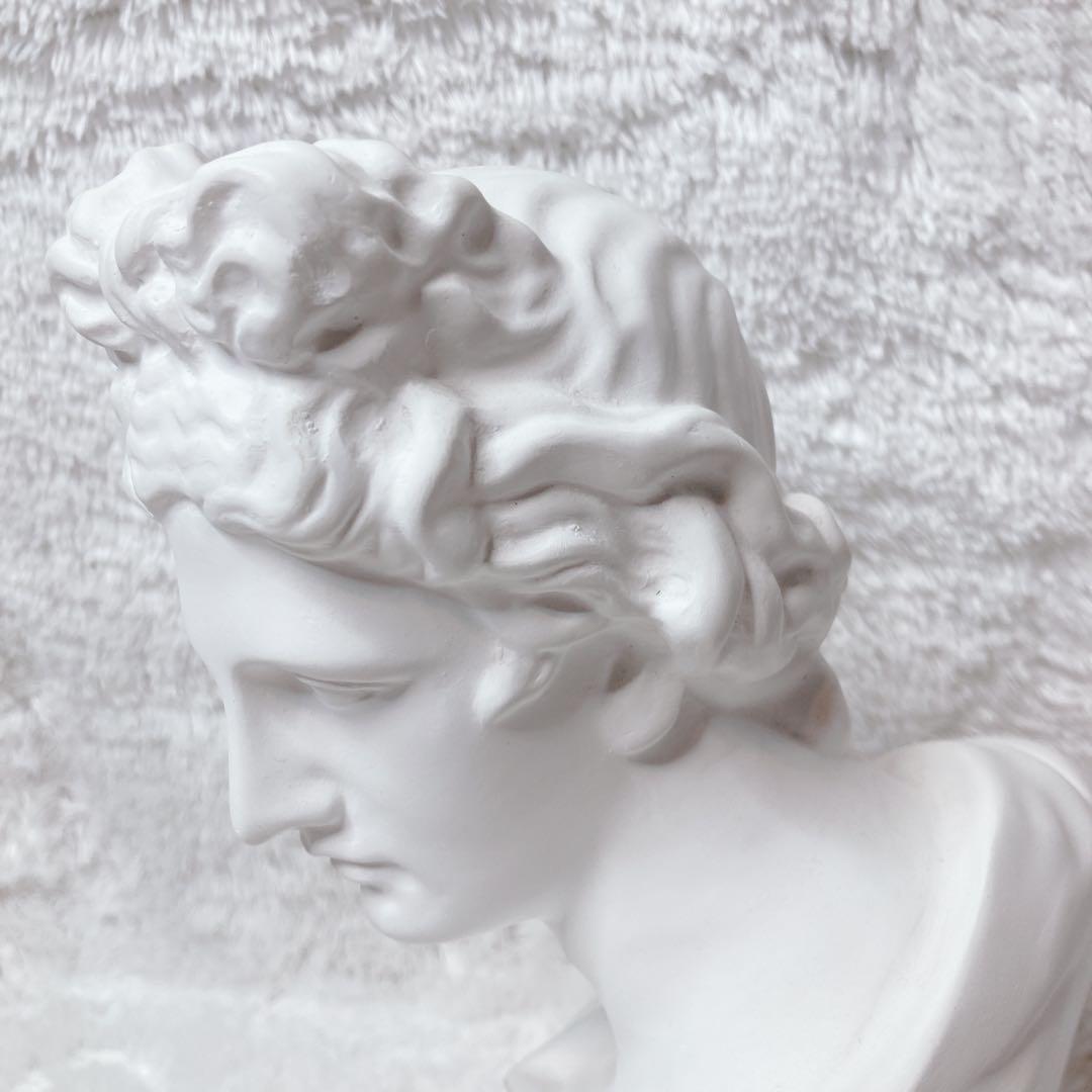 石膏像 アポロン ￼￼￼￼￼アポロ 胸像 デッサン 美術 彫刻 オブジェ