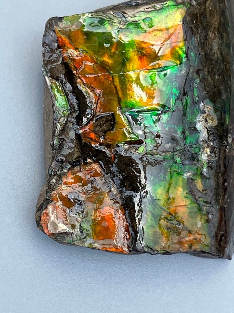 化石　原石　アンモライト　アンモナイト　カナダ産　幅4.1cm 置物　箱付き