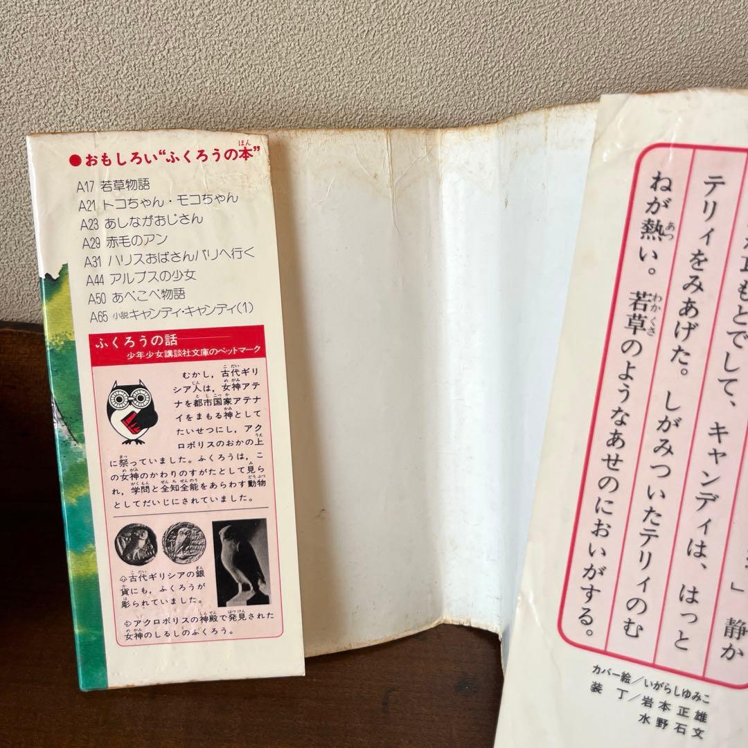 【絶版】小説キャンディ•キャンディ② 、③最終巻 水木杏子　いがらしゆみこ