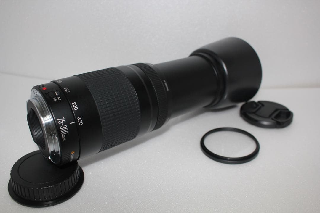 迫力の300㎜/キャノン望遠レンズ/Canon EF75-300㎜　II