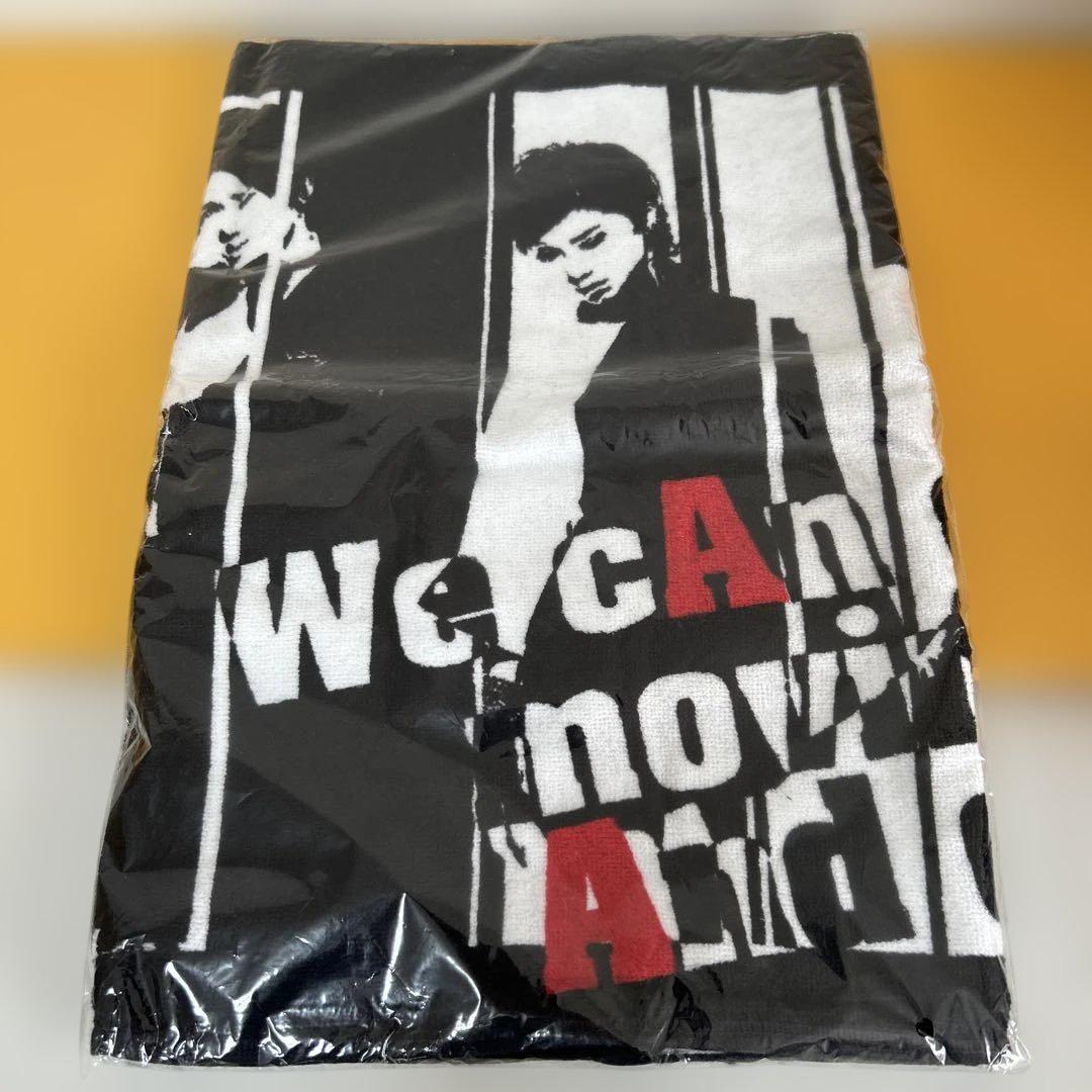 AAAグッズ 17点まとめ売り 「パンフ、ファイル、タオル、Tシャツ、他」