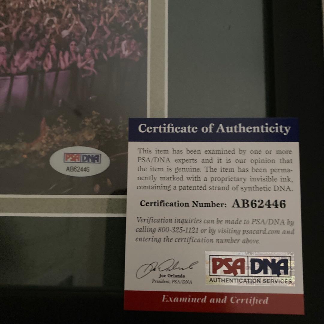 シック　ナイルロジャース　直筆サイン入り写真　証明書付き