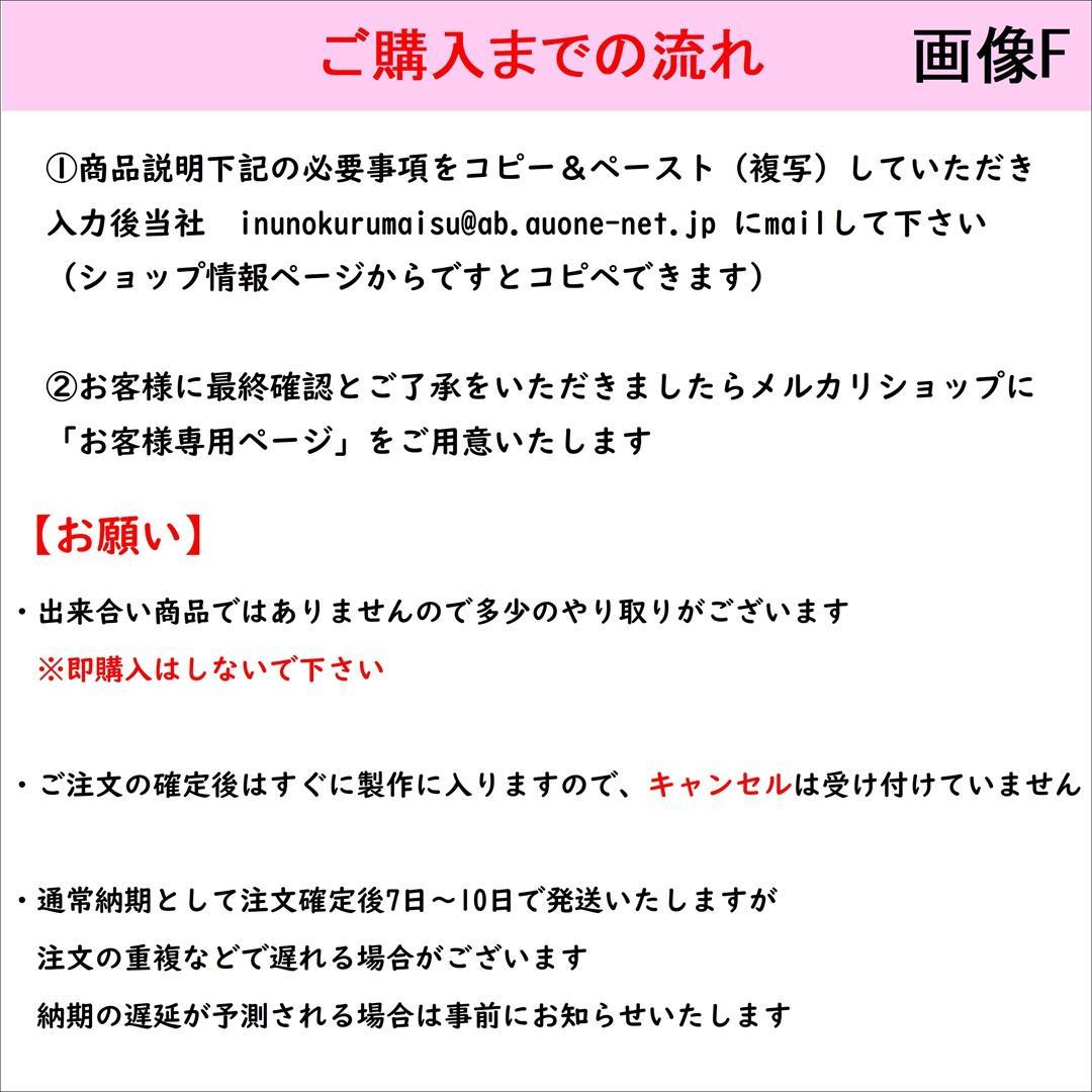 犬用車椅子　散歩行こうCar 　中型（体重8kg～15㎏未満）