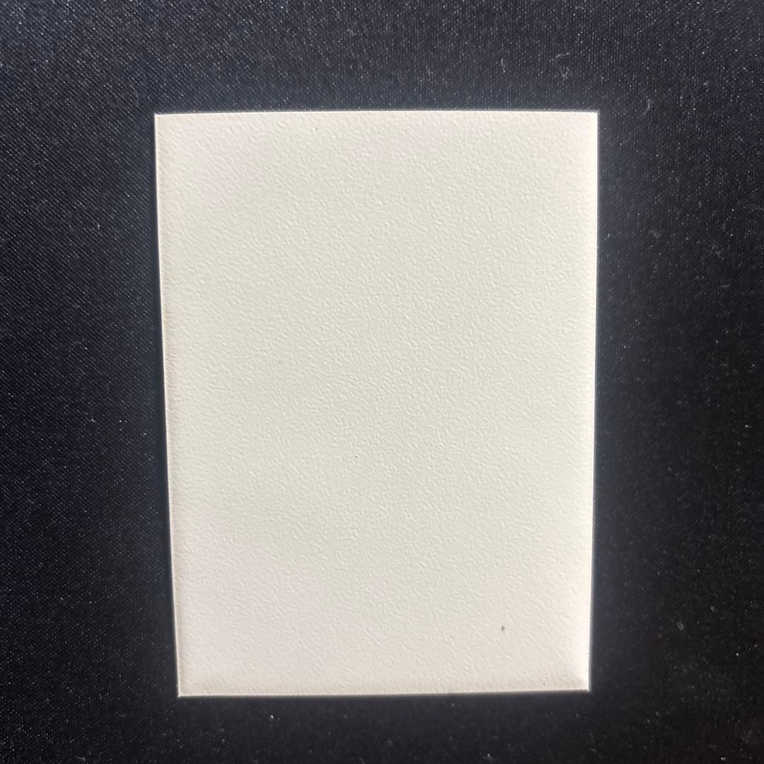 デュエルマスターズ 緑単キャベツ デッキ