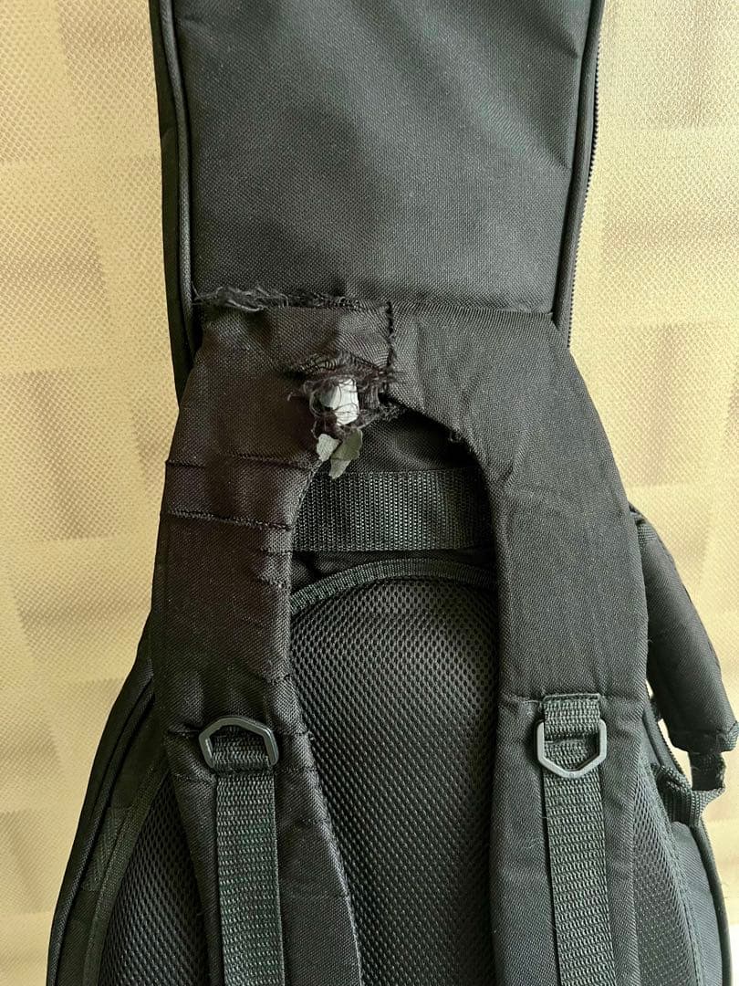 【yammy】FGN J.standard レスポール　フジゲン