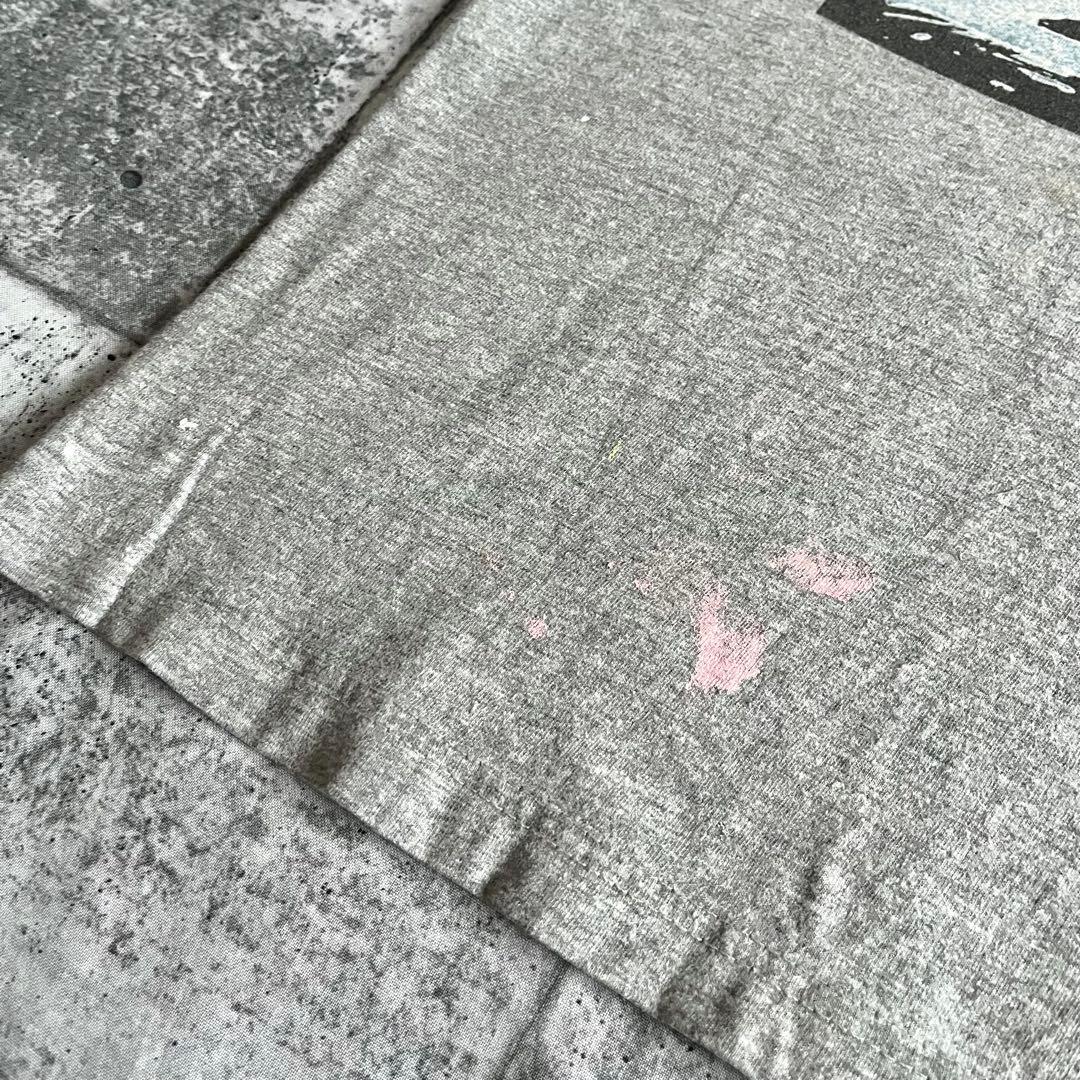 1994 NOFX Punk in drublic EURO Tシャツ XLレア