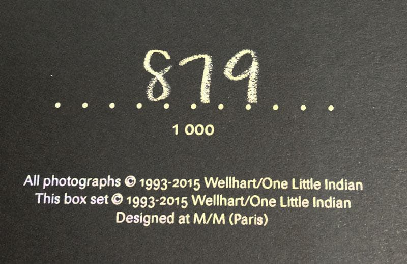 特別額装品/Bjork（ビョーク）/Medulla 2004年