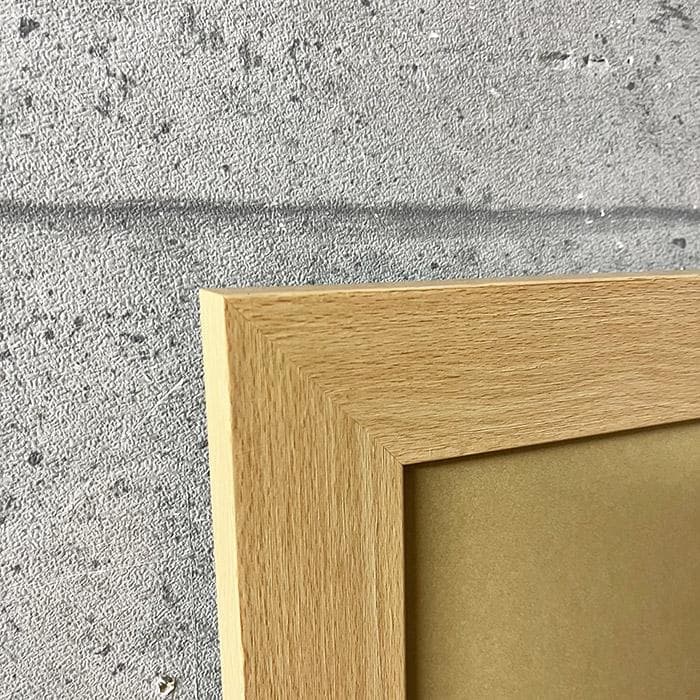 特別額装品/Bjork（ビョーク）/Medulla 2004年