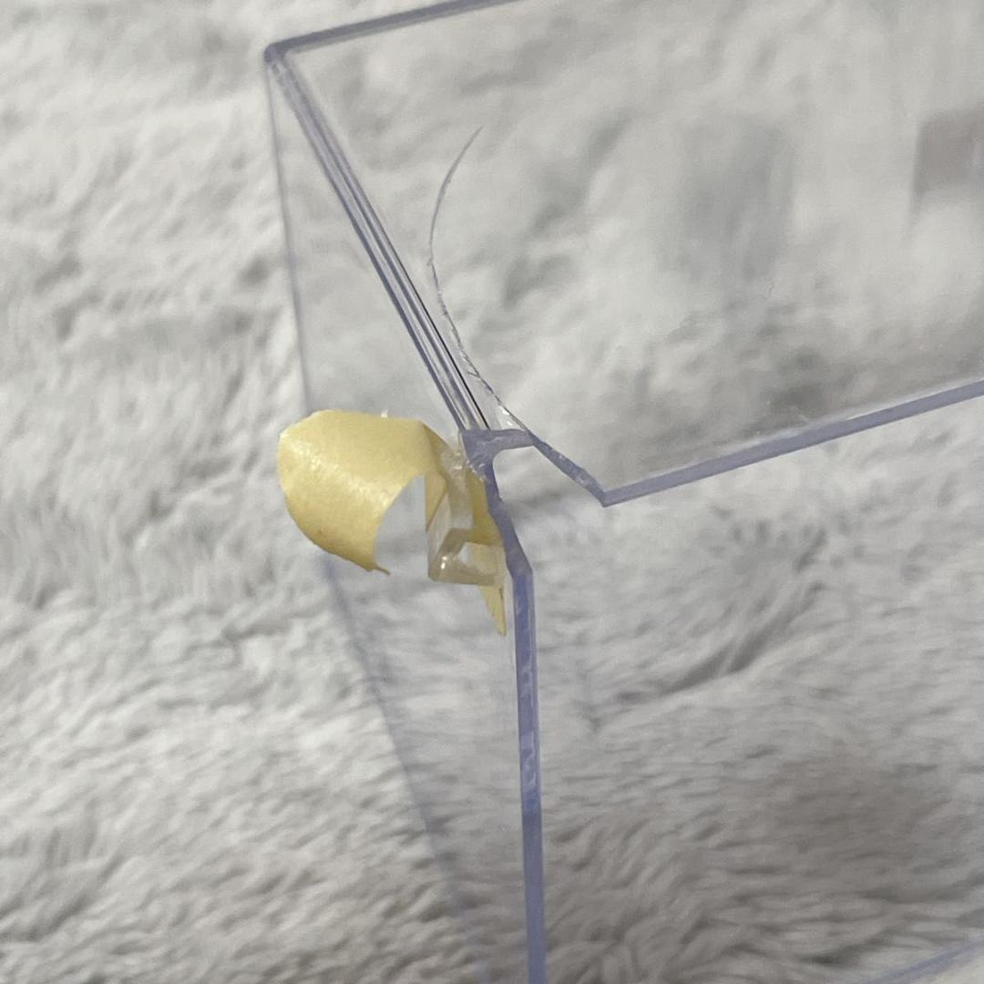 ミニチャンプス 1/43 トヨタ アベンシス ソーラーレッド ミニカー